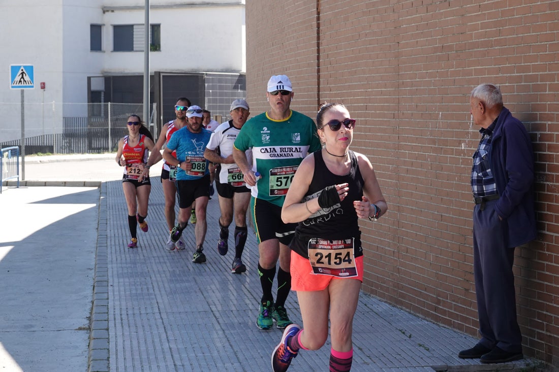 A algunos participantes parece que los 10 kilómetros del reccorido de la prueba de fondo de Loja se les hace leve a tenor de sus sonrisas y buen rollo. Otros en cambio parecen sufrir más o simplemente se concentran para disfrutar de la carrera.