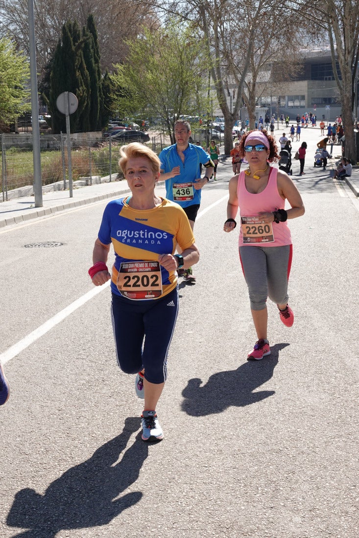 El reguero de atletas es amplio. Las piernas pesan en algunos momentos pero el objetivo de llegar a meta se mantiene. Si has participado en la carrera de fondo de Loja, prueba suerte a ver si te hemos retratado a lo largo del recorrido.