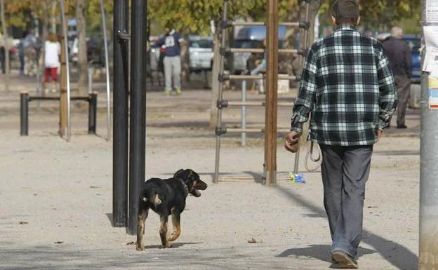 El Consistorio de Almería perseguirá también al que deje la orina de sus perros en la calle