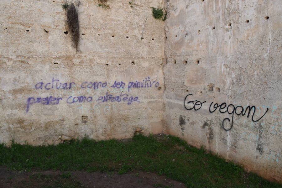 Algunos de los grafitis localizados en la muralla de la Alberzana, otros espacios del Albaicín y el Centro. 