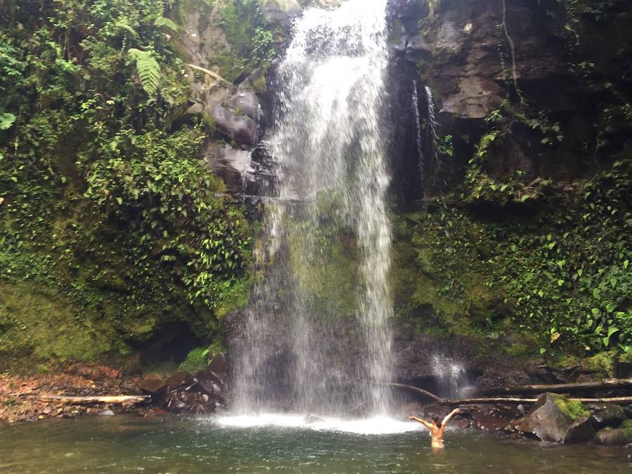 La Cosmopolilla en las cascadas de Boquete (Panamá).