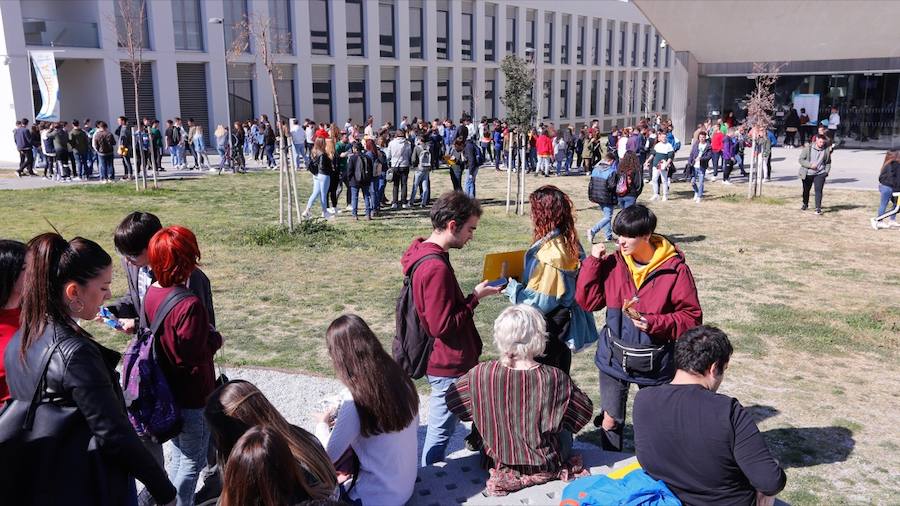 La Universidad granadina oferta más de ochenta grados diferentes (incluidos los dobles títulos)