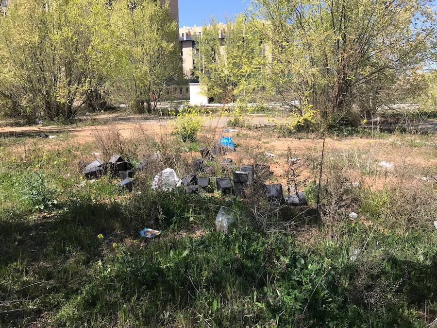 Cientos de bolsas se dispersan por distintos puntos del barrio granadino con restos de las plantaciones de marihuana