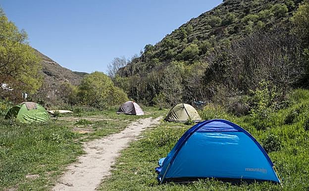 Cuatro tiendas de campaña en el asentamiento 'okupa' del Avellano.