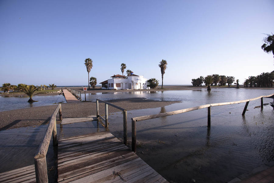 Todos han solicitado actuaciones urgentes para paliar los efectos del temporal, pero no tienen claro que éstas vaya a llegar antes del Domingo de Ramos 