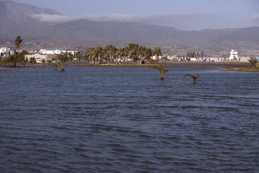Todos han solicitado actuaciones urgentes para paliar los efectos del temporal, pero no tienen claro que éstas vaya a llegar antes del Domingo de Ramos 