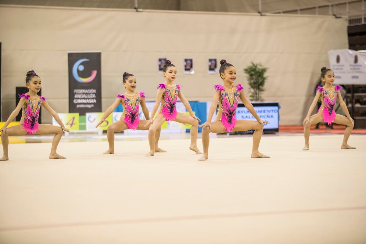 El Circuito Andaluz de gimnasia rítmica para la categoría de promesas se está celebrando en el Palacio de los Deportes. Más de dos mil niñas de toda la comunidad autónoma están poniendo sobre el tapiz todo lo aprendido y ensayado a lo largo del curso. 