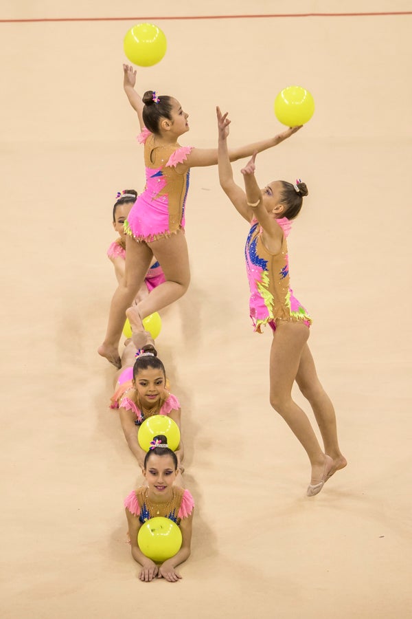 El Circuito Andaluz de gimnasia rítmica para la categoría de promesas se está celebrando en el Palacio de los Deportes. Más de dos mil niñas de toda la comunidad autónoma están poniendo sobre el tapiz todo lo aprendido y ensayado a lo largo del curso. 