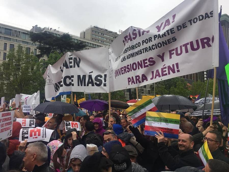 Seis organizaciones jienenses marchan junto a casi un centenar de colectivos de 23 provincias en una manifestación en Madrid