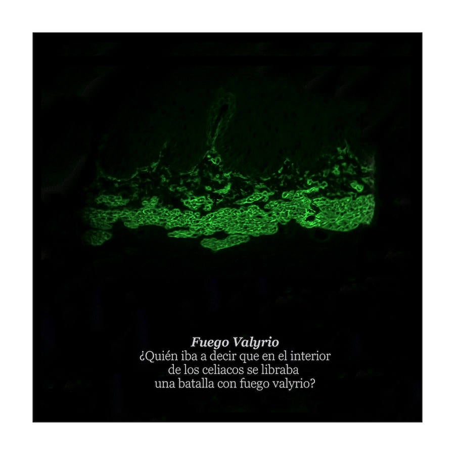 Una analista clínica y fotógrafa granadina recrea el impresionante universo de las muestras de laboratorio.  Lee el reportaje aquí