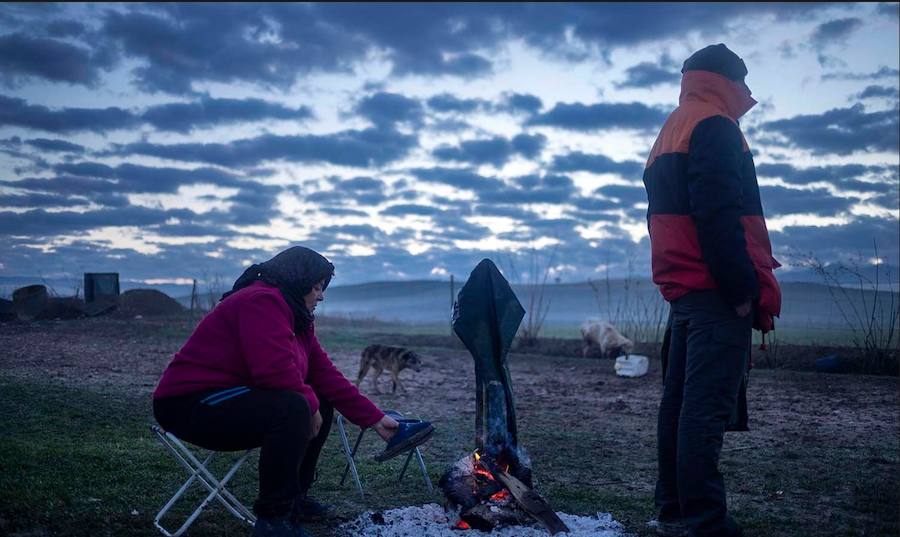 Algunas de las imágenes de Susana Girón sobre la migración del ganado en el altiplano de Granada. Puede  leer el reportaje completo aquí