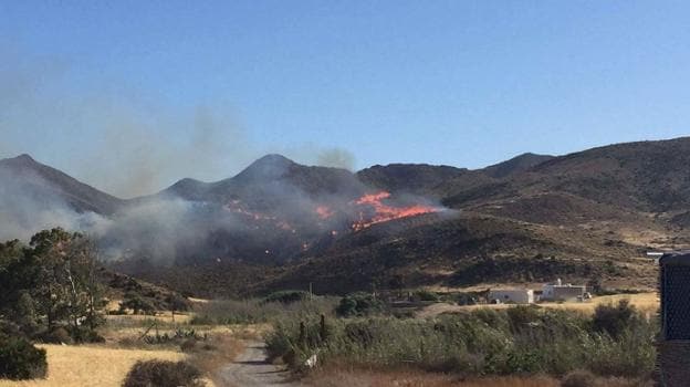 Incendio forestal ocurrido durante el pasado verano cerca del Pozo de los Frailes, en Níjar.