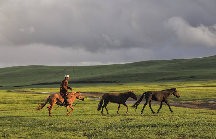 Recopilación de algunas fotografías de la expedición de la fundación Paralelo 70 a Mongolia. Puedes leer  el reportaje completo aquí
