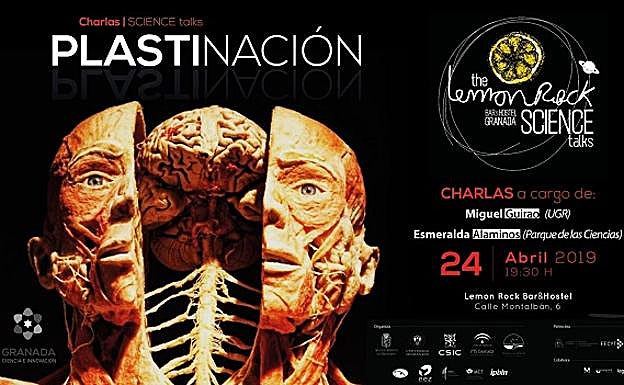 Miguel Guirao y Esmeralda Alaminos charlarán sobre plastinación en el Lemon Rock