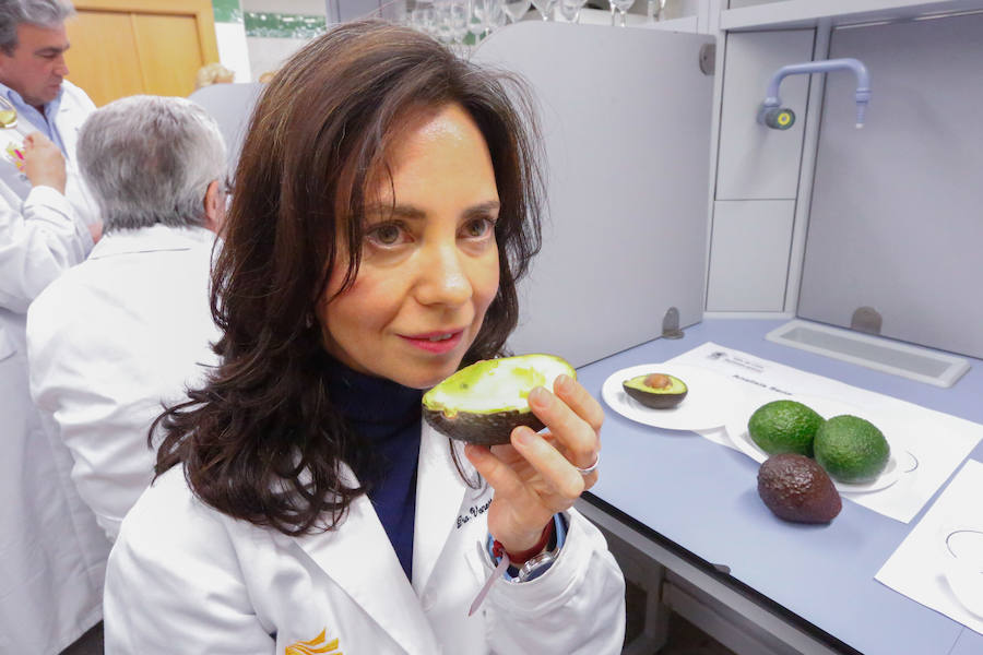 Catadores expertos analizan la calidad de aceites, vinos, frutas y hortalizas, ginebras, pan...  Puedes leer el reportaje completo aquí