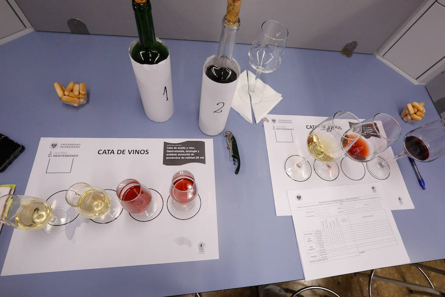 Catadores expertos analizan la calidad de aceites, vinos, frutas y hortalizas, ginebras, pan...  Puedes leer el reportaje completo aquí