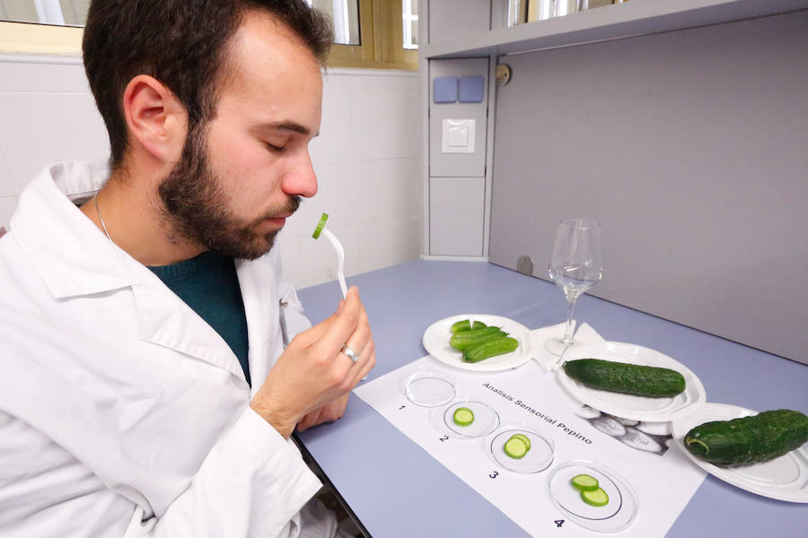 Catadores expertos analizan la calidad de aceites, vinos, frutas y hortalizas, ginebras, pan...  Puedes leer el reportaje completo aquí