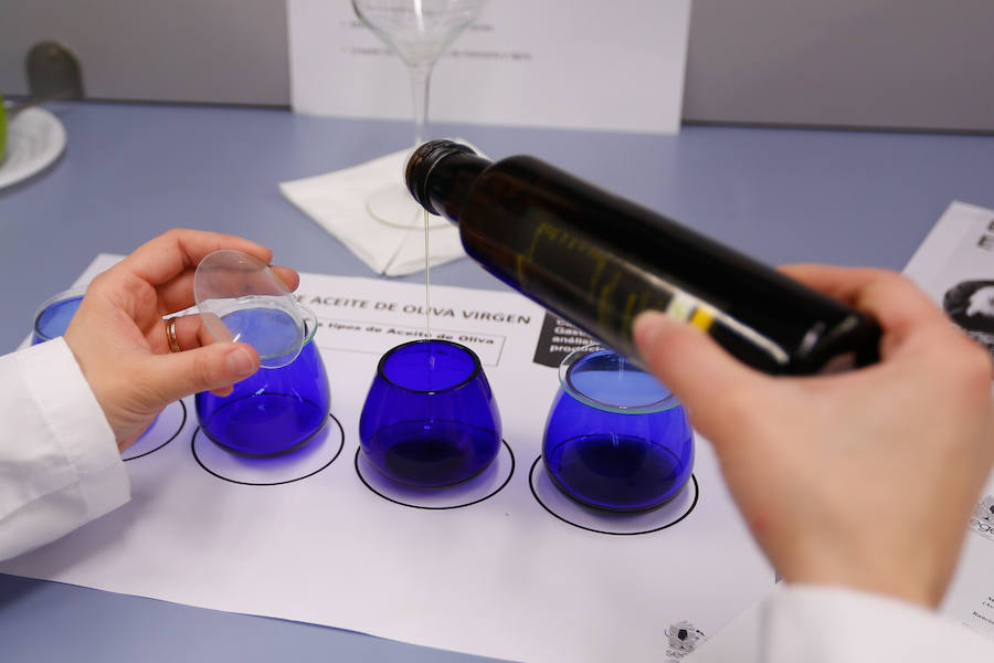 Imagen principal - Laura Valverde, en plena cata de aceite