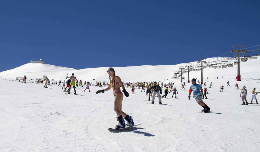 500 de esquiadores y snowboarders han participado este sábado en la VII Bajada en Bañador