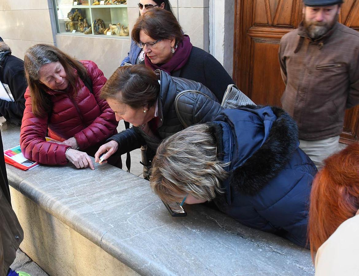 Desde Puerta Real a la Catedral, un recorrido para descubrir la evolución de la Tierra, un paseo de la mano de paleontólogos de la UGR