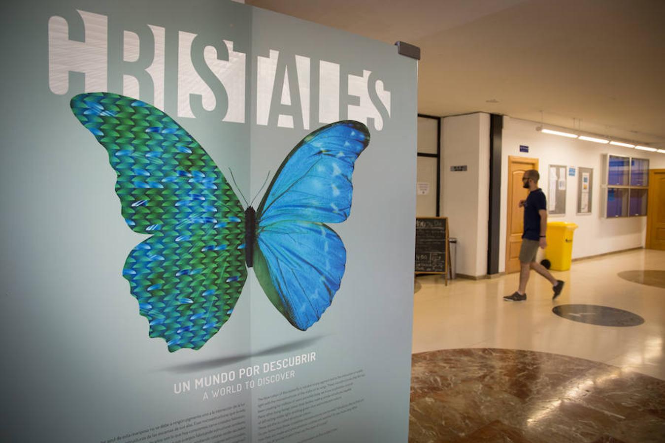La Facultad de Ciencias de la Universidad de Granada acoge la exposición 'Cristales, un mundo por descubrir', donde se pueden observar increíbles piezas de cristal extraídas de la naturaleza. También paneles explicativos sobre la relevancia de la cristalización en las investigaciones científicas y los usos industriales.