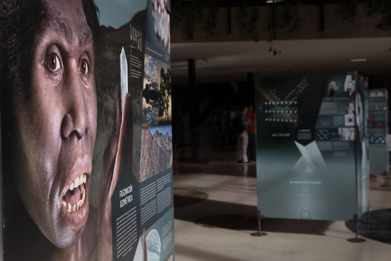 La Facultad de Ciencias de la Universidad de Granada acoge la exposición 'Cristales, un mundo por descubrir', donde se pueden observar increíbles piezas de cristal extraídas de la naturaleza. También paneles explicativos sobre la relevancia de la cristalización en las investigaciones científicas y los usos industriales.