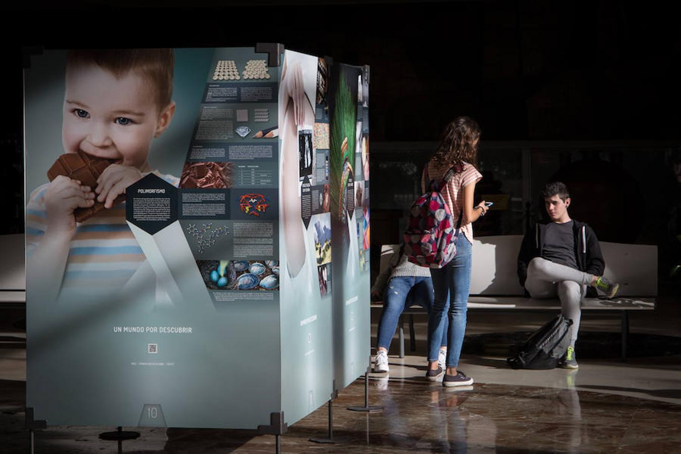 La Facultad de Ciencias de la Universidad de Granada acoge la exposición 'Cristales, un mundo por descubrir', donde se pueden observar increíbles piezas de cristal extraídas de la naturaleza. También paneles explicativos sobre la relevancia de la cristalización en las investigaciones científicas y los usos industriales.