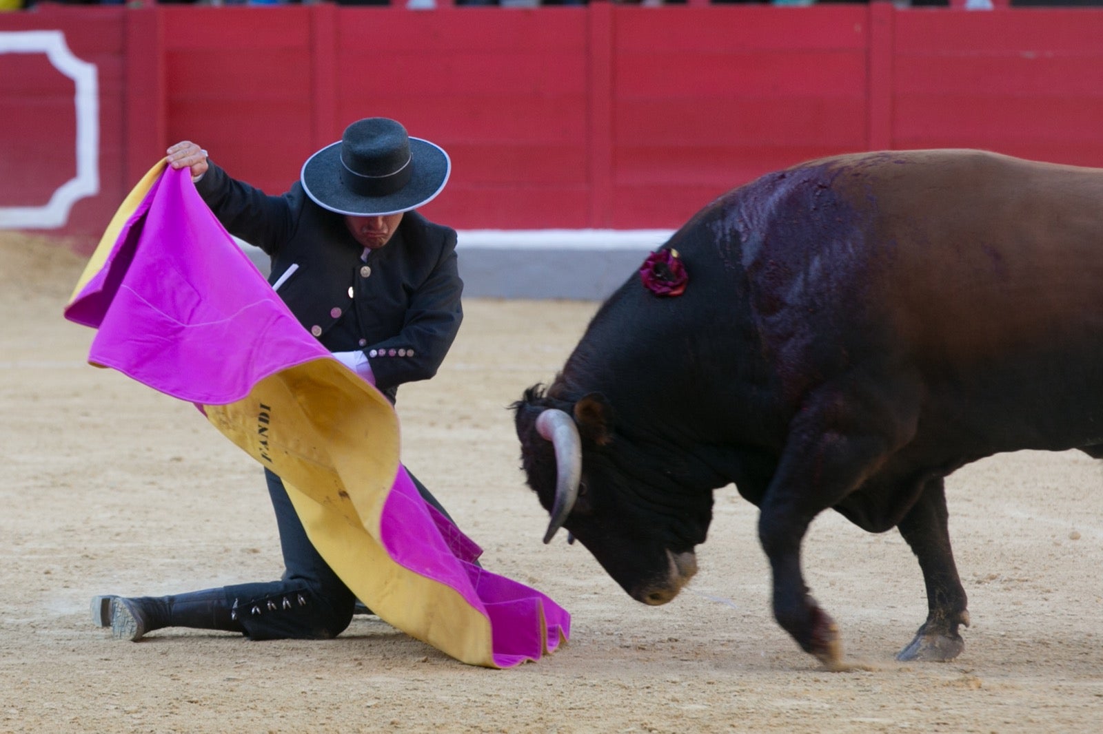 Así ha sido el nuevo evento de Granadown