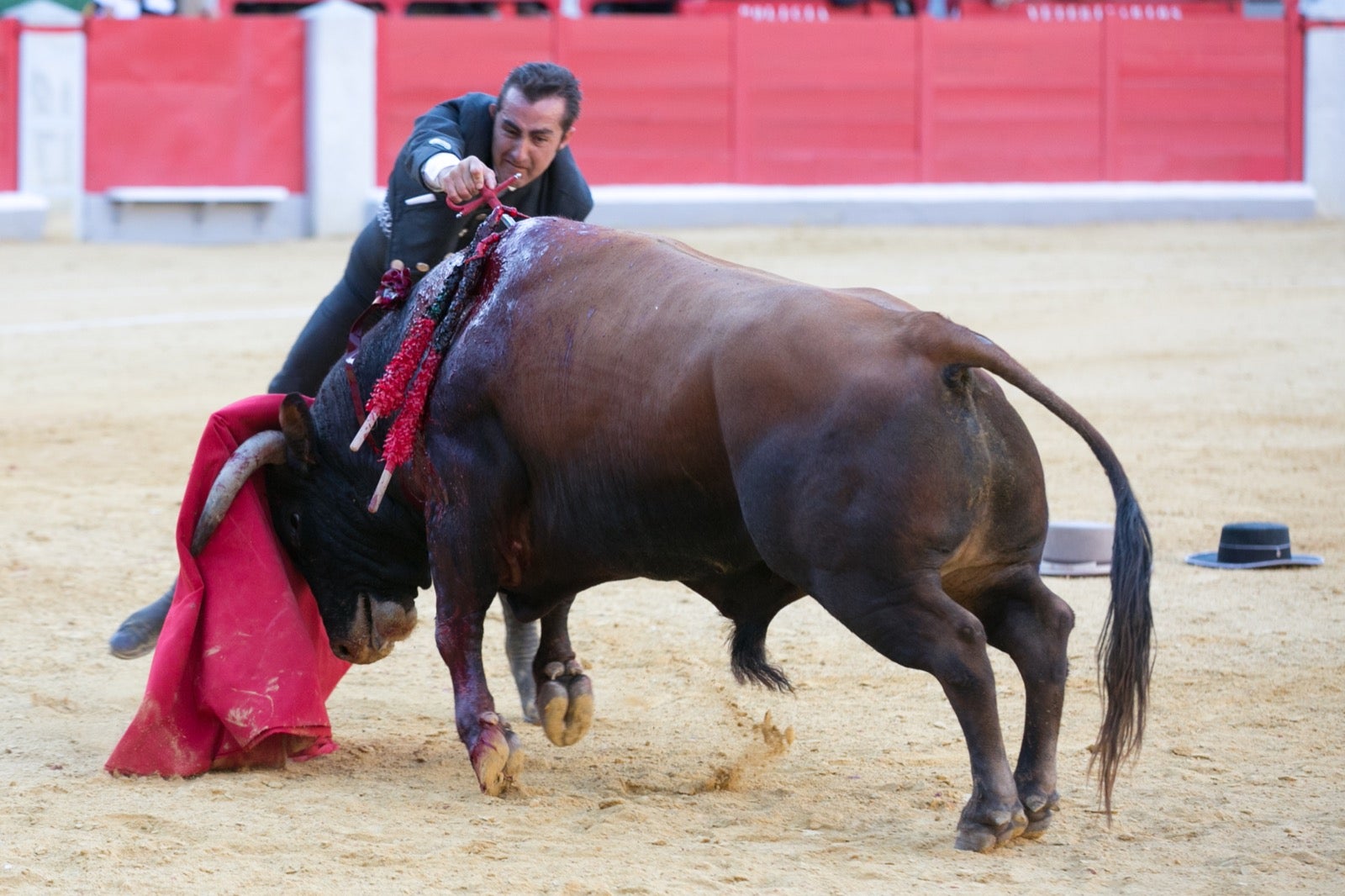 Así ha sido el nuevo evento de Granadown