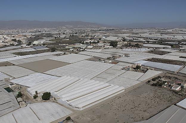 Amplia superficie invernada en las proximidades del campus universitario, en La Cañada de San Urbano.