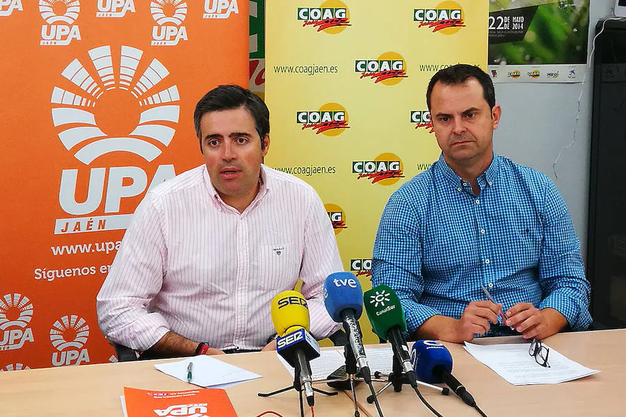 Rueda de prensa de Coag y Upa hoy en Jaén. 