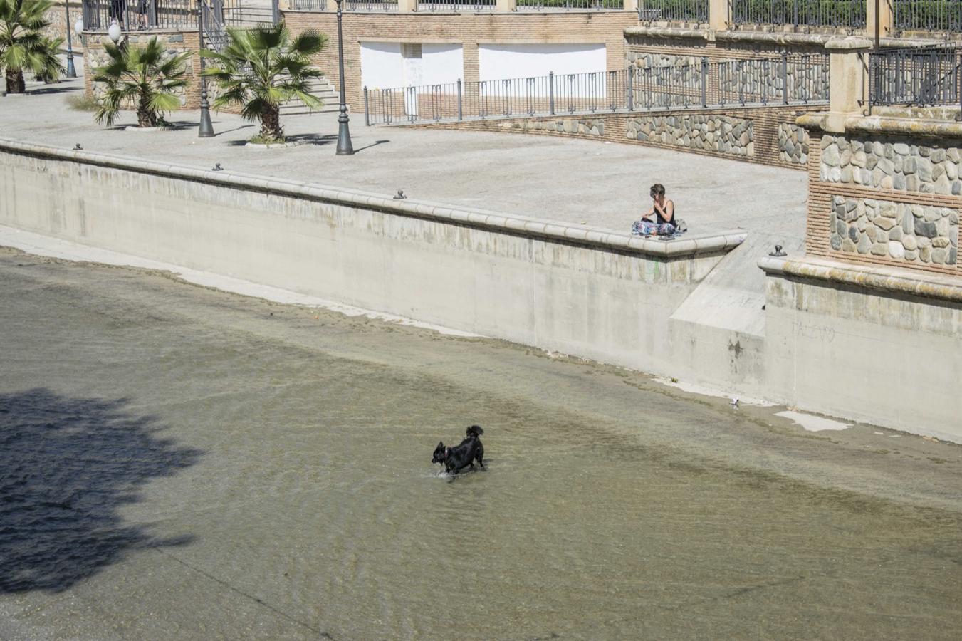 El rio Genil se llena de personas con la llegada del buen tiempo.