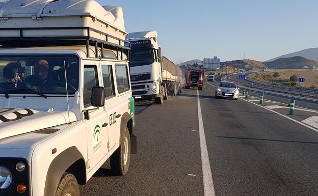 Bomberos de Motril también ha actuado en el lugar de los hechos