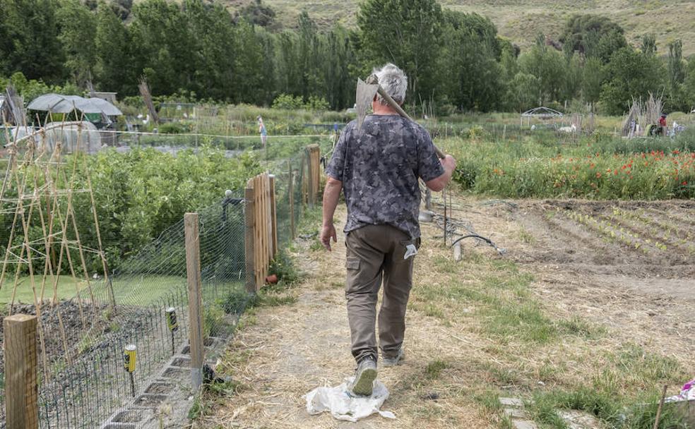 José Antonio, azadón al hombro, cambió el sector «agresivo» de la construcción por el trabajo también duro del campo, «pero mucho más reconfortante». 