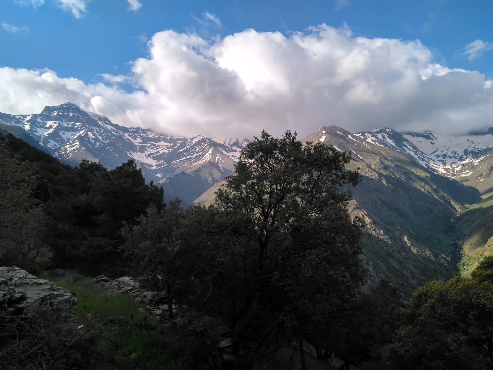 Iniciamos nuestra ruta en el mismo punto que la Vereda de la Estrella, en Güejar Sierra, donde dejaremos los vehículos y seguiremos las indicaciones hacia el barranco de San Juan,