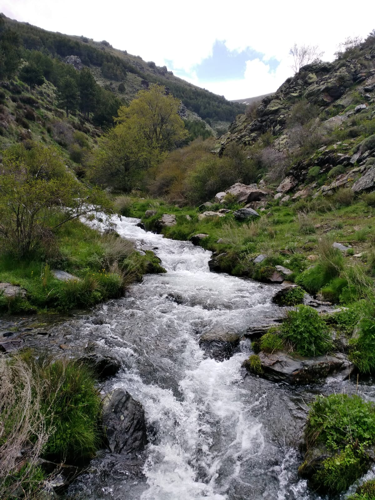 Iniciamos nuestra ruta en el mismo punto que la Vereda de la Estrella, en Güejar Sierra, donde dejaremos los vehículos y seguiremos las indicaciones hacia el barranco de San Juan,