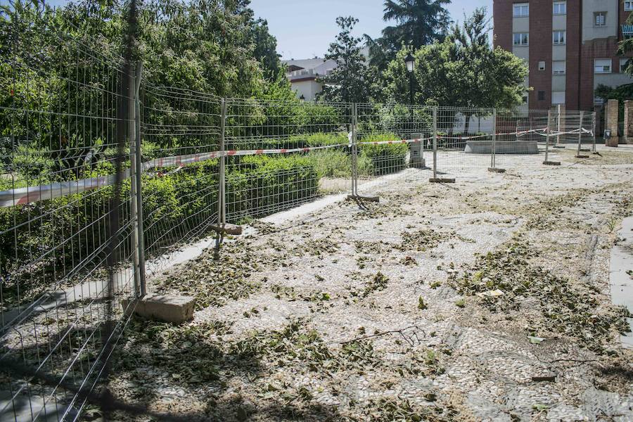 Los vecinos del parque se quejan de la dejadez y la falta de limpieza del jardín. Además, piden más presencia policial en la zona.