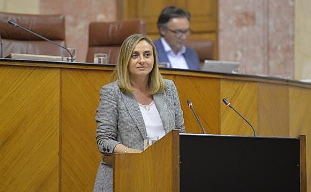 La consejera Marifrán Carazo, ayer durante su comparecencia parlamentaria.