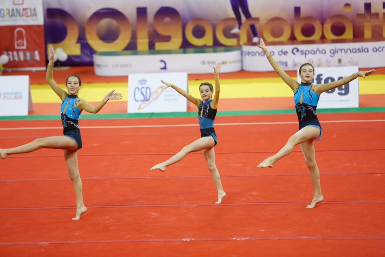 Durante los días 31 de mayo, 1 y 2 de junio 2019 se celebra el «Campeonato de España de Gimnasia Acrobática» organizado entre la Federación Española de Gimnasia y la Federación Andaluza de Gimnasia.Un evento que reúne a mas de 700 gimnastas de la acrobática de los diferentes puntos de España. Un evento único para disfrutar de un espectáculo deportivo con la familia y amigos
