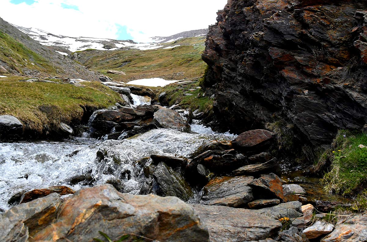 Arroyos de alta mnontaña durante el deshielo a 2.800 metros de altitud. Casi tres meses después que en el resto de la provincia de Granada, la primavera se abre paso en las altas cumbres, un periodo efímero en el que crecen las joyas botánicas nevadenses
