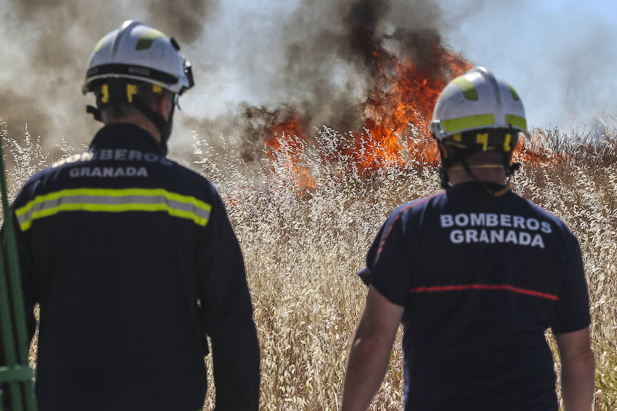 Los bomberos del Parque Norte han acudido en dos ocasiones a una zona próxima al centro comercial Alameda para sofocar dos fuegos