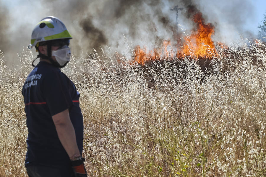 Los bomberos del Parque Norte han acudido en dos ocasiones a una zona próxima al centro comercial Alameda para sofocar dos fuegos