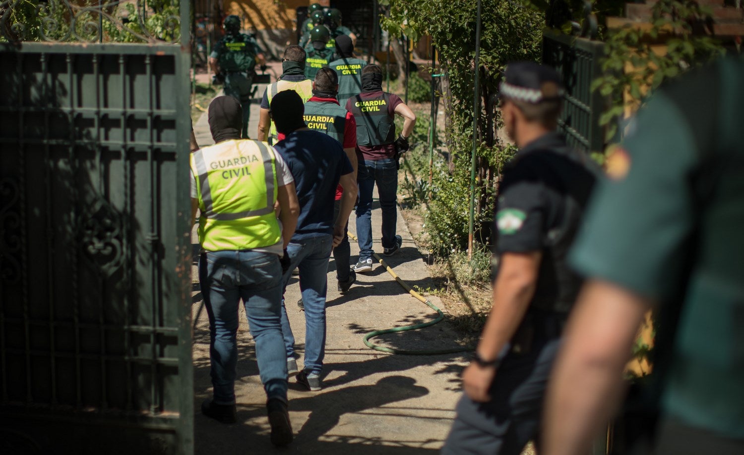 Operación de la Guardia civil contra los cultivos de marihuana