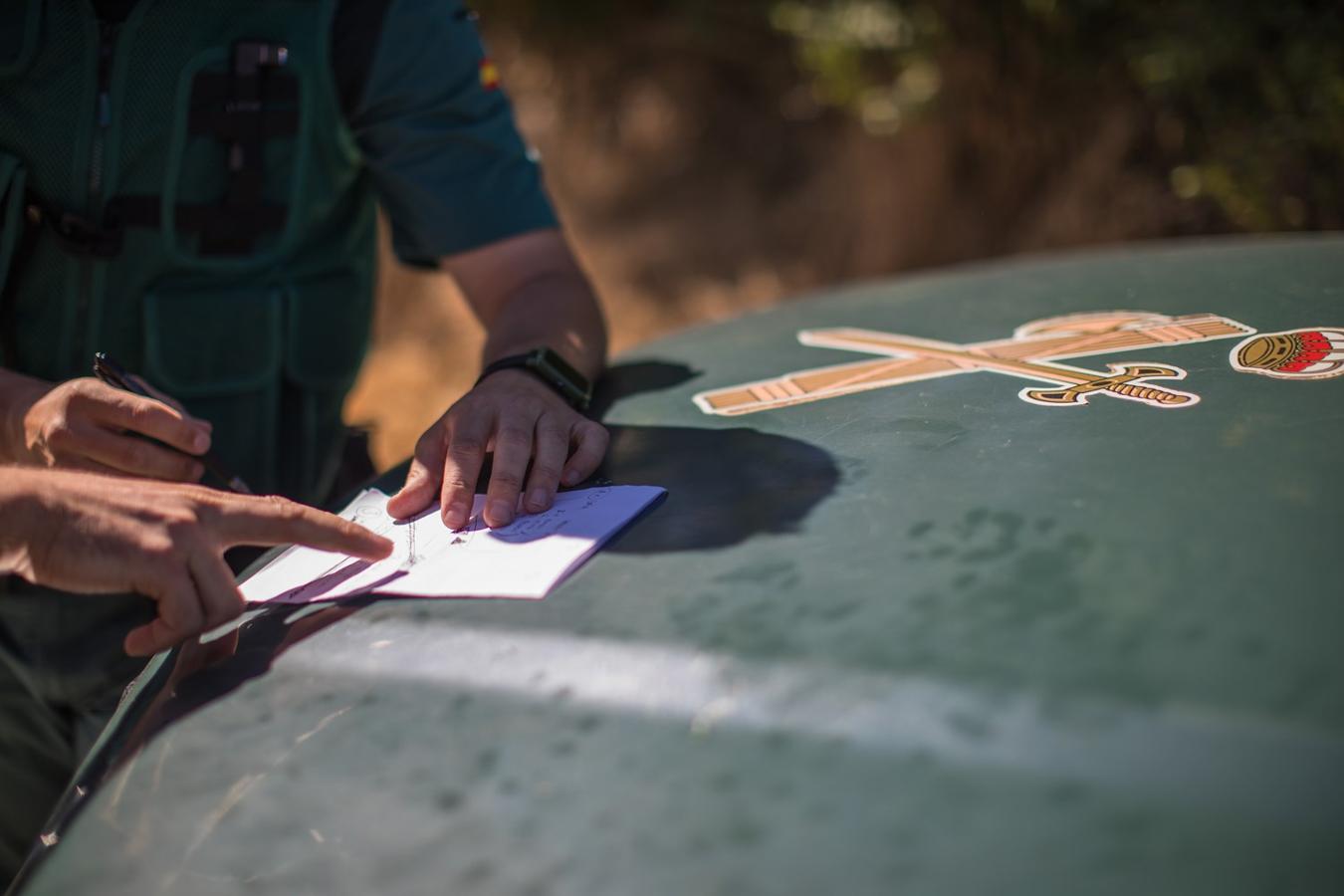 Operación de la Guardia civil contra los cultivos de marihuana