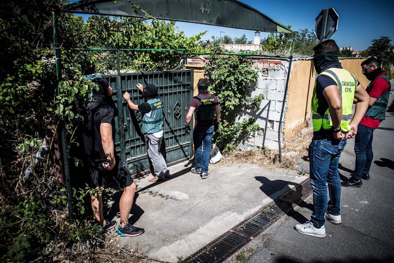 Operación de la Guardia civil contra los cultivos de marihuana