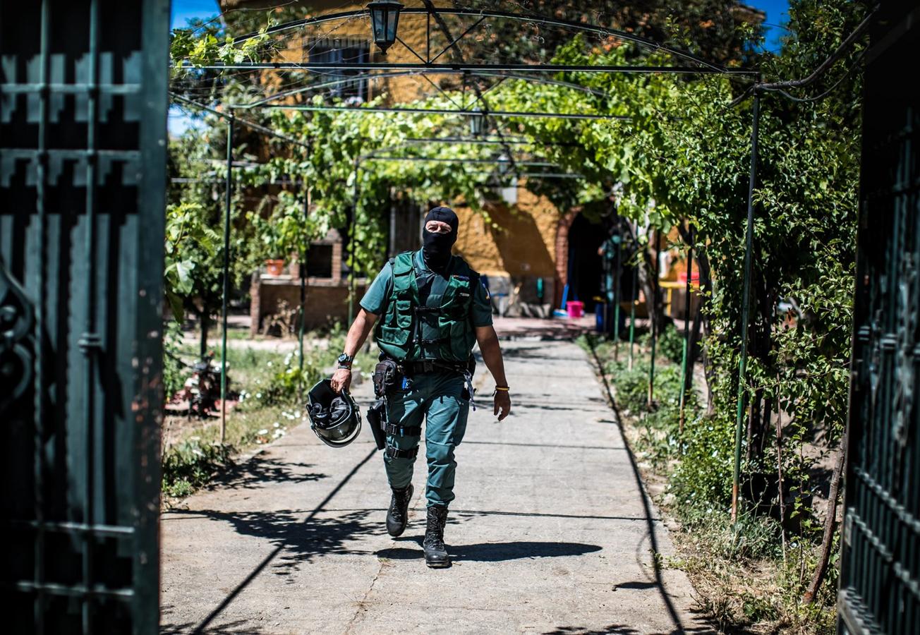 Operación de la Guardia civil contra los cultivos de marihuana
