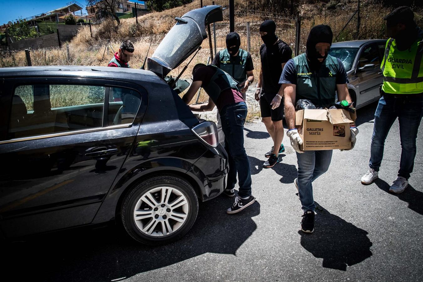 Operación de la Guardia civil contra los cultivos de marihuana