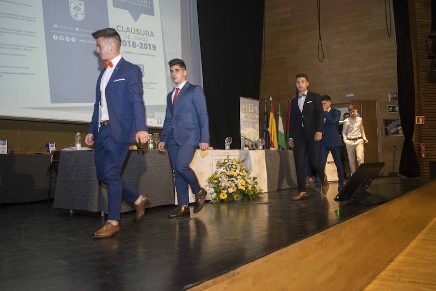 Además, ha distinguido al Ayuntamiento de Fuente Vaqueros, al Patronato de la Alhambra y a IDEAL por su suplemento AG