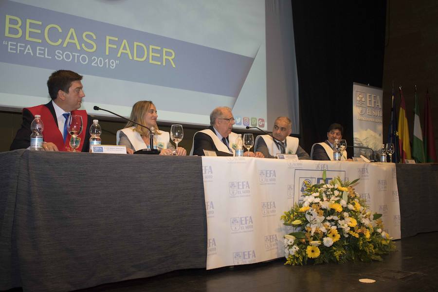 Además, ha distinguido al Ayuntamiento de Fuente Vaqueros, al Patronato de la Alhambra y a IDEAL por su suplemento AG