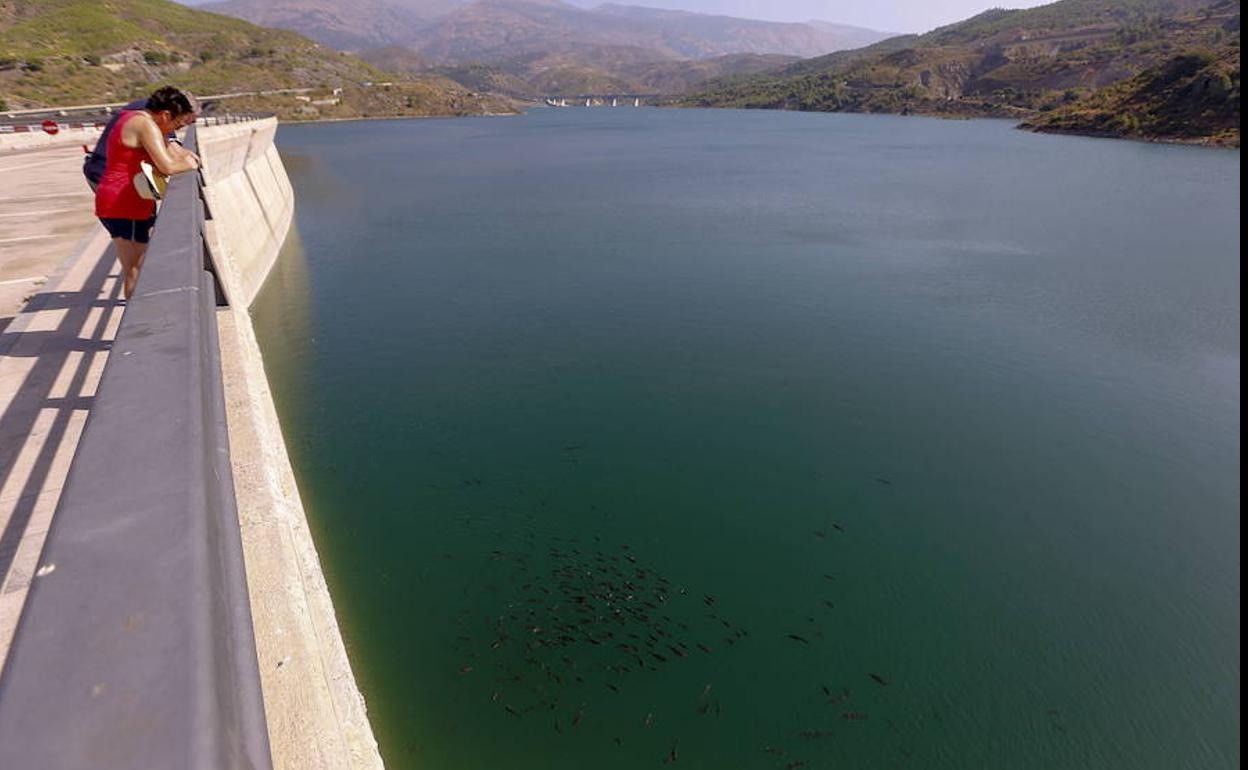 El agua de Rules llegará este verano a la Costa Tropical